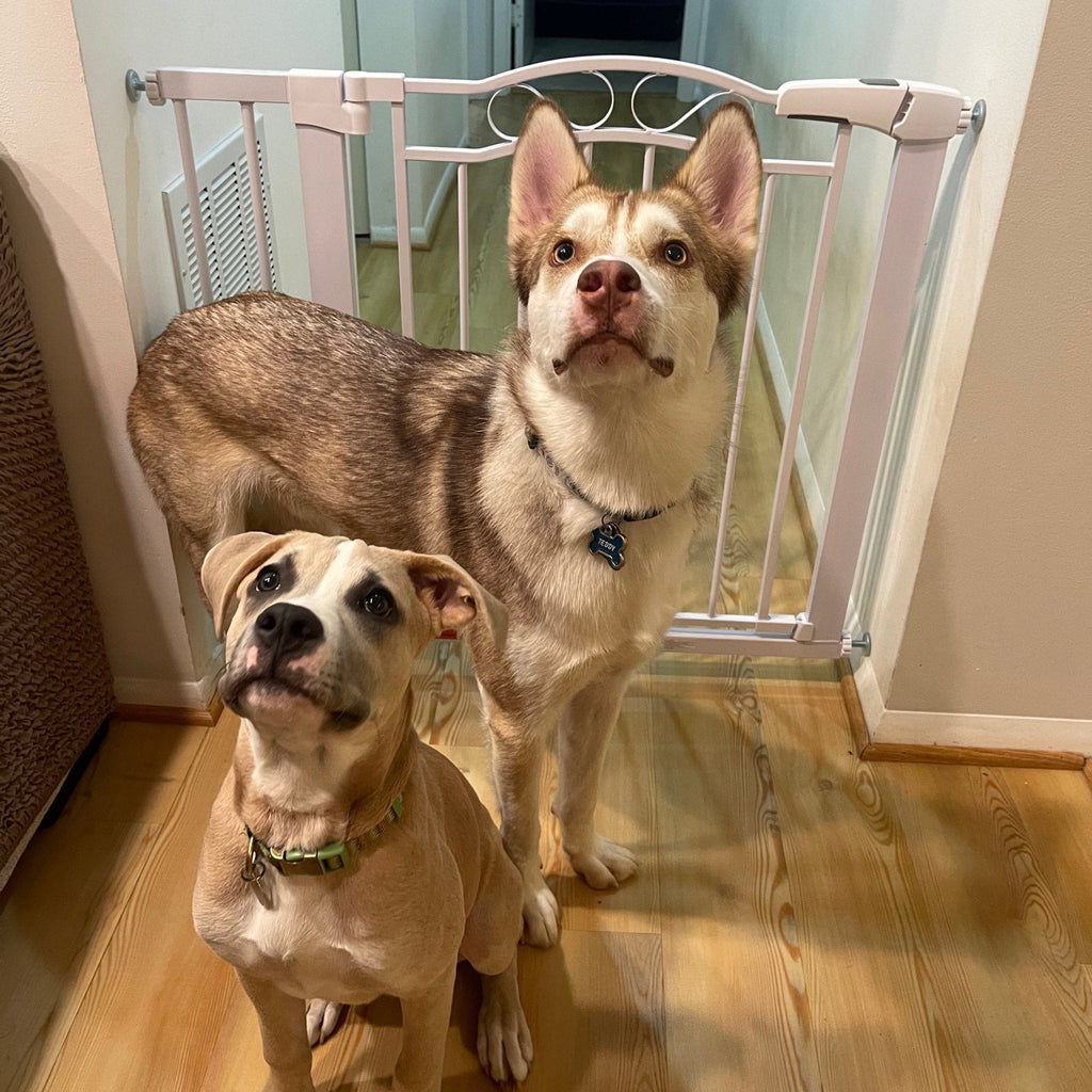 FairyBaby Arch-Shaped Walk Through Baby Gate With 23.5" Extra Wide Walk Through Door